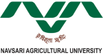 Navsari logo